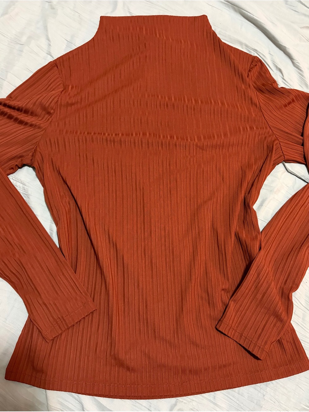 Future Collective Ribbed Long-Sleeve Mock Neck Top - Rust